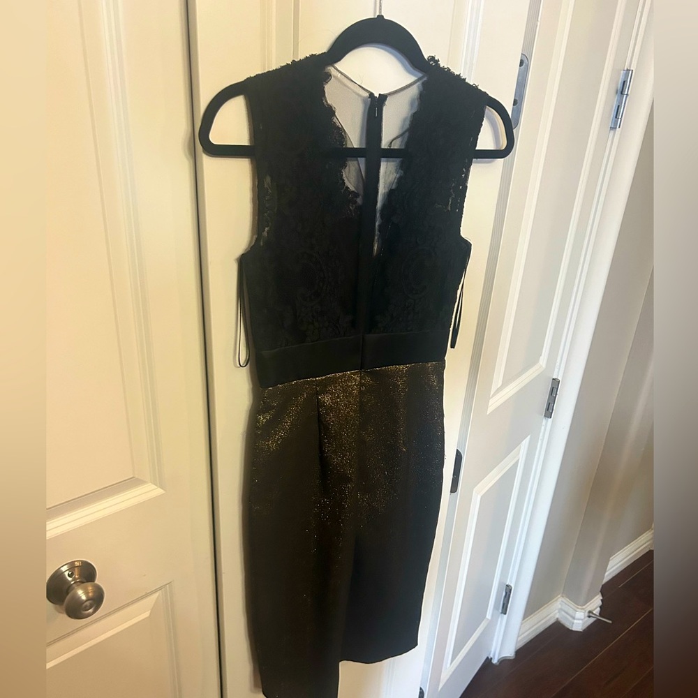 Mesh & lace Theia dress